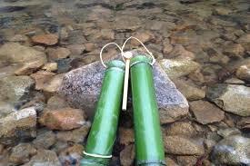 曾经很火的白酒,竹子灌酒竹子还能活吗