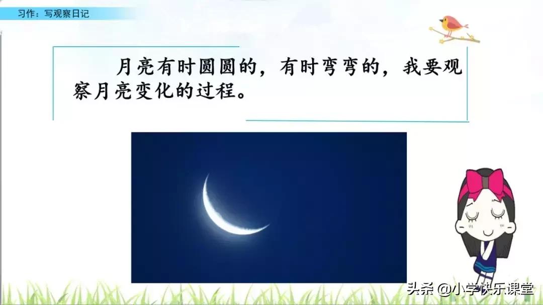 四年级语文第三单元观察日记作文,四年级观察日记400字优秀作文植物