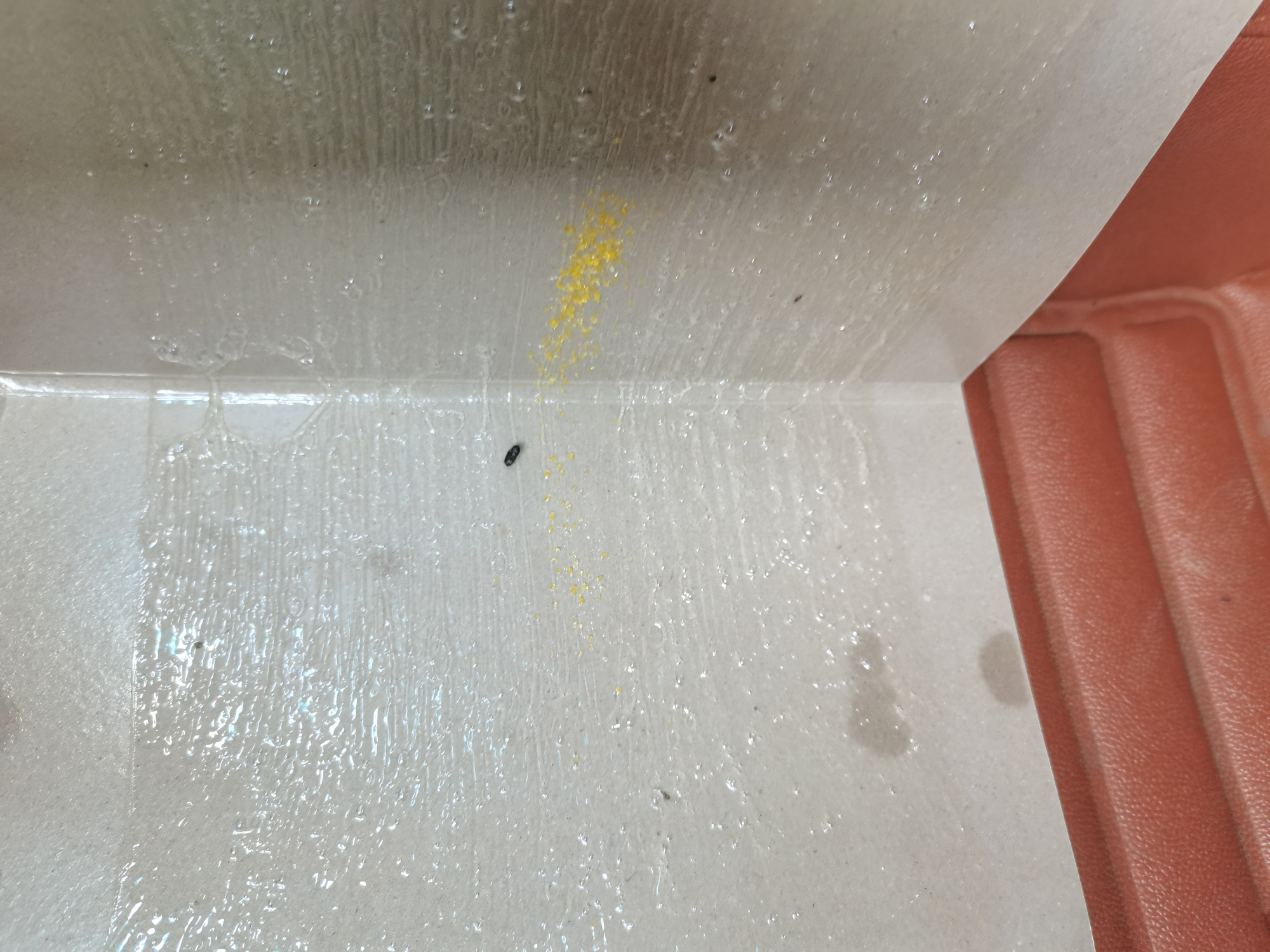 车内捕捉老鼠什么效果最佳,防老鼠进车最好的办法