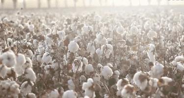 好的生活不必太贵,好的生活没那么贵但要用心