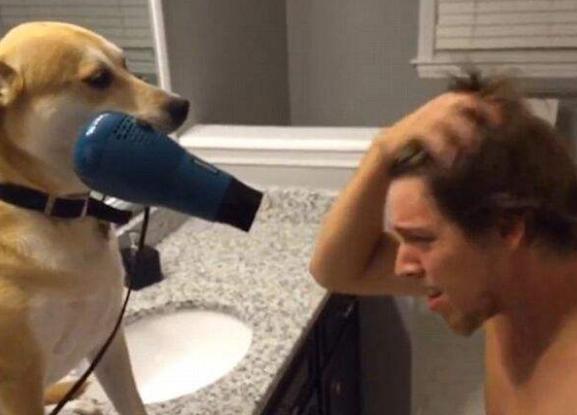 头发炸毛了怎么护发,怎么可以解决头发炸毛问题