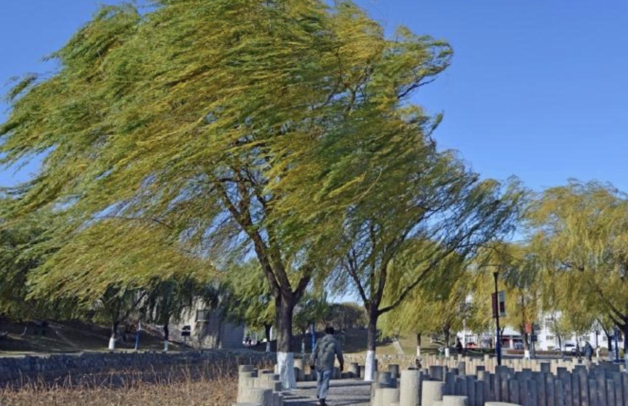 西门庆如何对待妻妾,西门庆如何娶的孟小楼