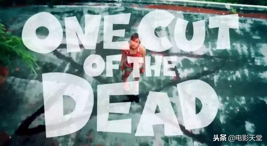 300万的票房,最大黑马票房破亿