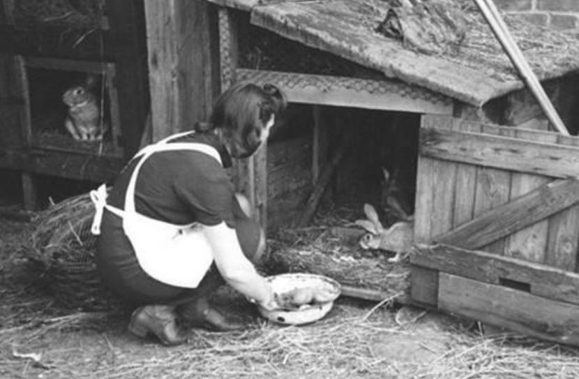 二战中英国的单兵伙食,二战时期英国的伙食标准