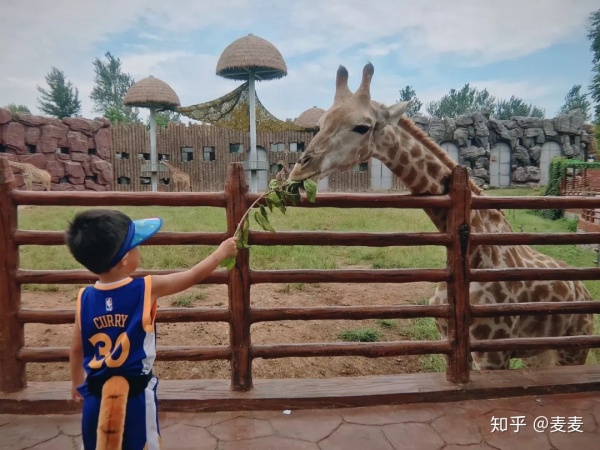 野生动物园长隆游玩攻略,野生动物园长隆攻略图片