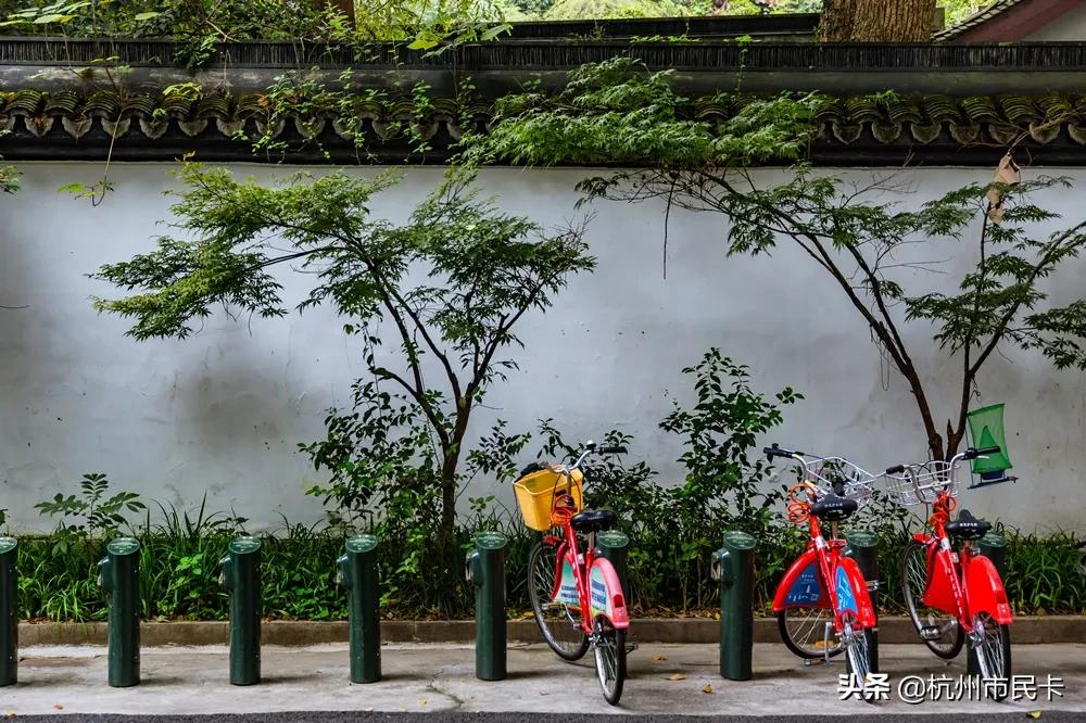 杭州免押金租小红车,杭州免押金租滴滴车