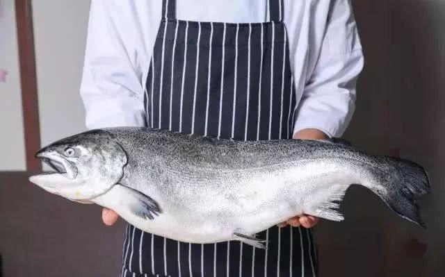 世界上最贵的海鲜十大排名及价格,全球公认的十大最贵海鲜