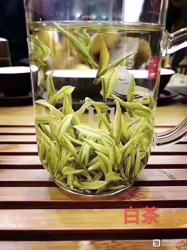 天目湖白茶大师之作,品一杯洪雅明前茶