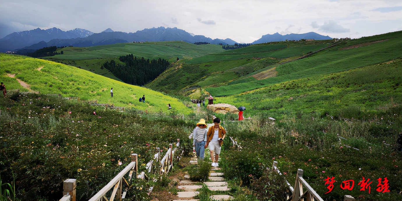 梦回新疆梦回拉萨,梦回伊宁草原视频