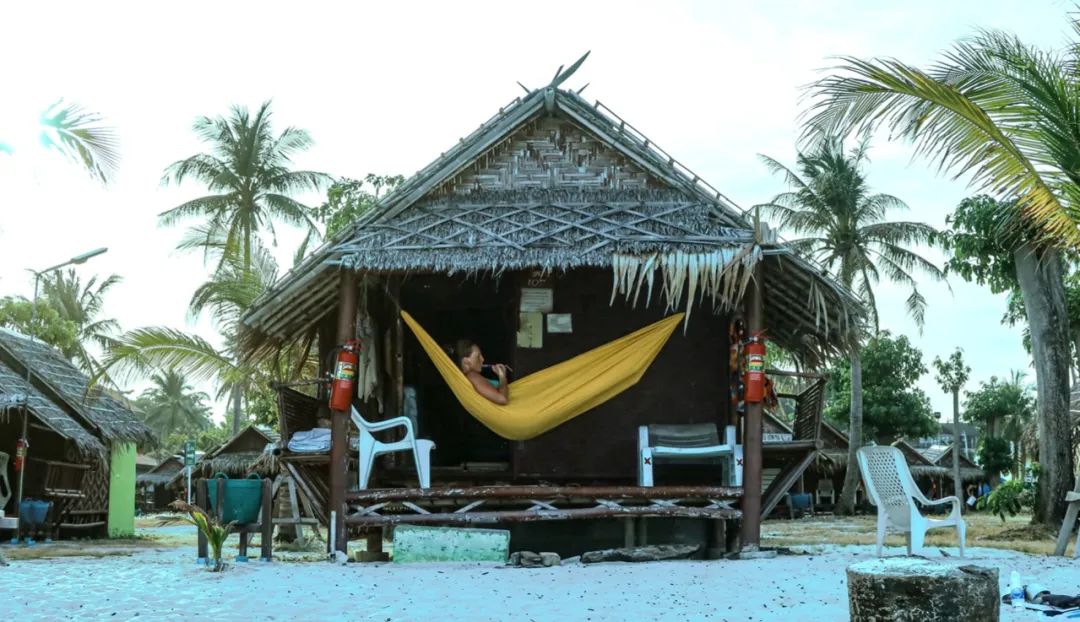 恋恋丽贝岛,人狗情未了|KohLipe