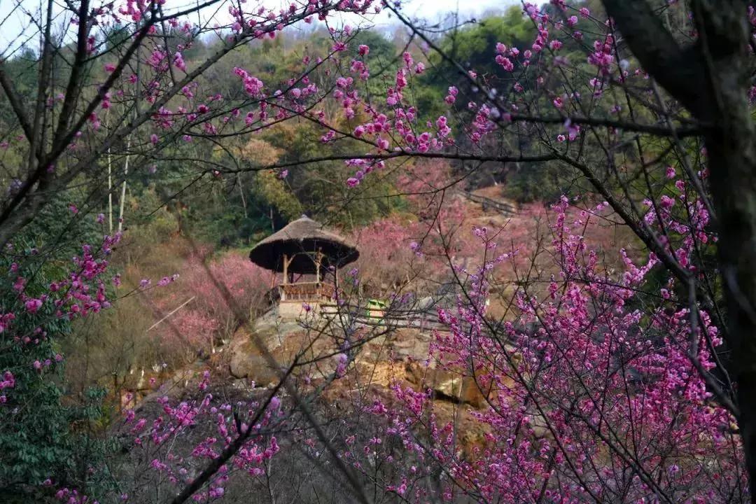 2天1夜旅游攻略成都耍雪,成都周边耍雪一日游攻略
