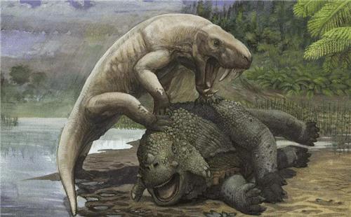 猿猴是史前人类进化的产物,达尔文进化论为什么是猿猴变的