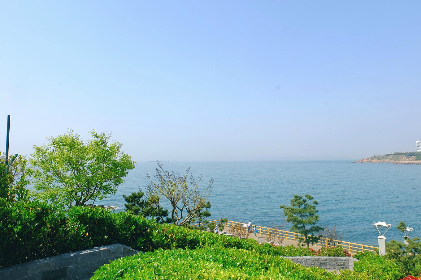 骆驼青岛,骆驼旅行在路上