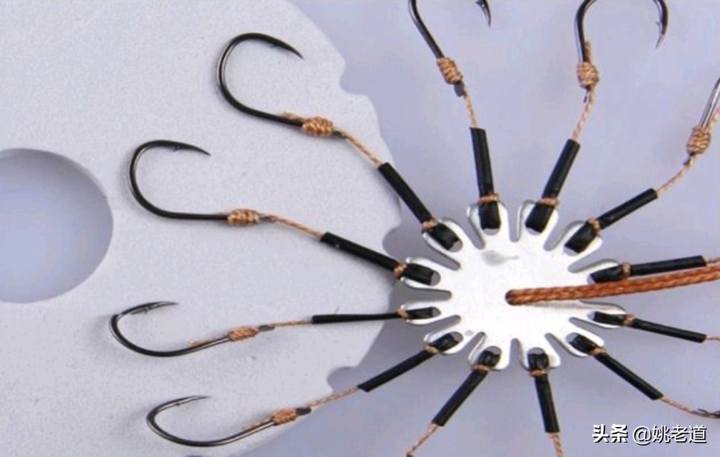 野钓伊势尼用几号钩比较好,野钓用伊势尼几号钩合适