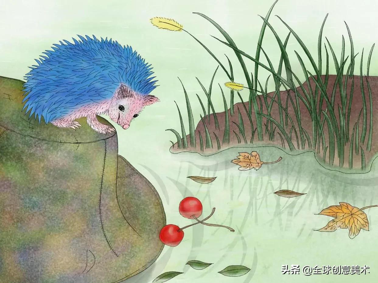 小刺猬“刁刁”的无忧生活