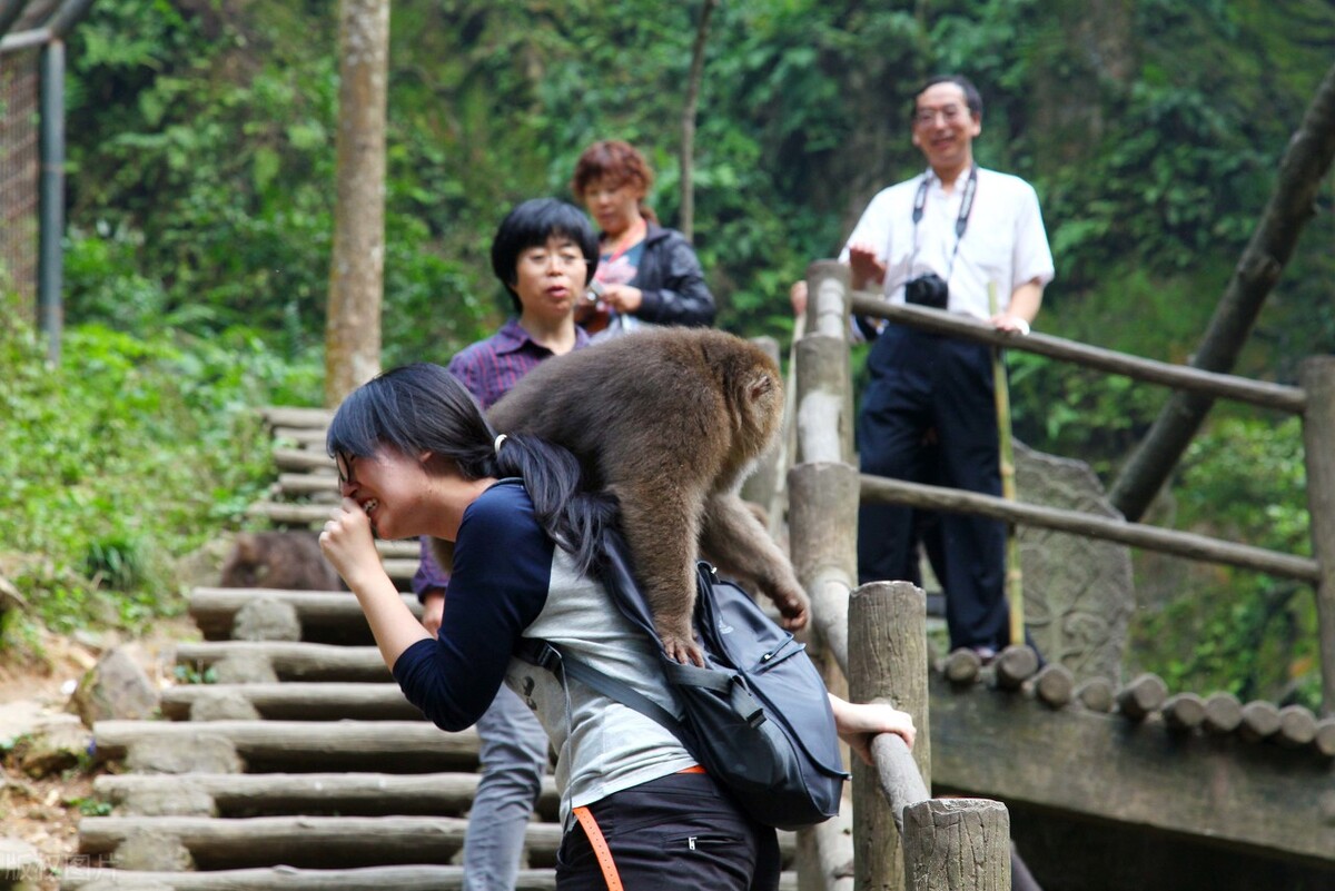 四川的人不一定全部是四川人吗,四川哪些地方人是四川本地人