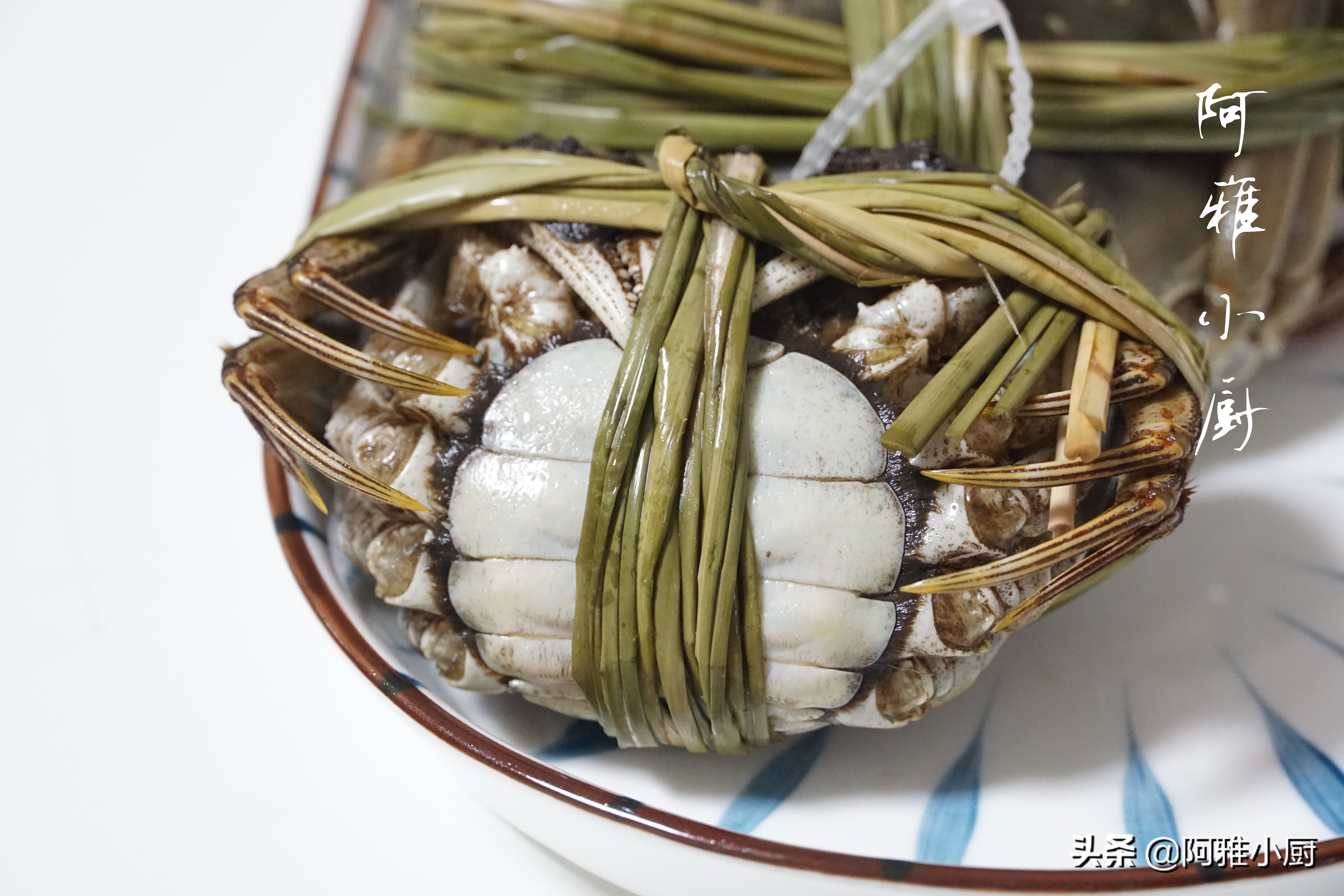 公大闸蟹和母大闸蟹哪个更好吃,大闸蟹对比