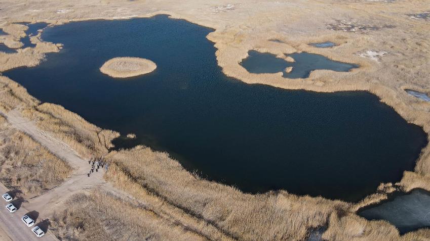 与沙漠掰了70年手腕,这块绿洲如此“倔强”