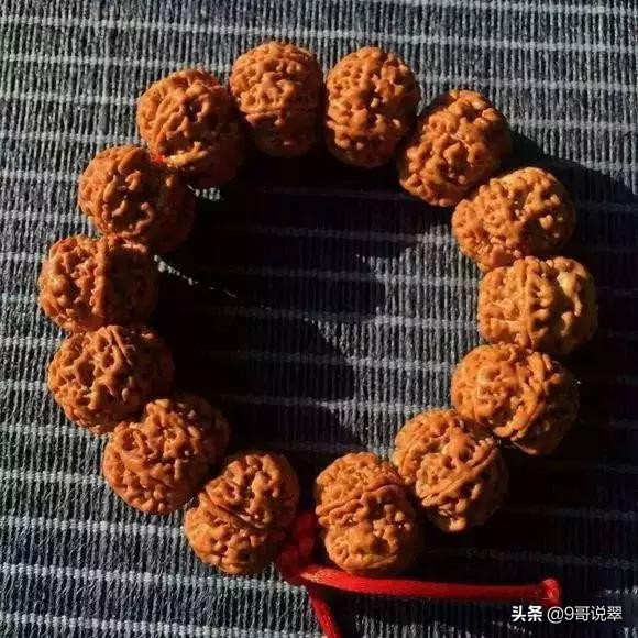 高颜值大金刚菩提,价值百万的金刚手串