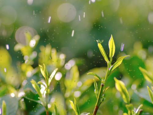 二年级语文识字4中国美食组词,二年级下册识字4中国美食生字