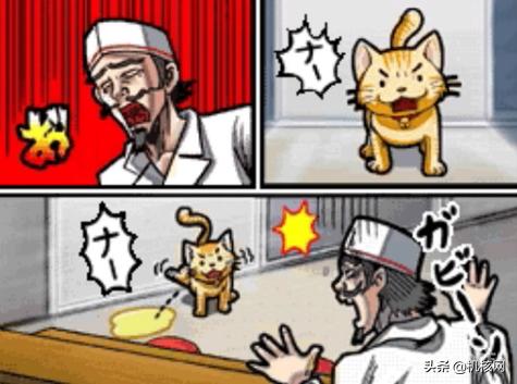 “爱”，“热血”与“永不言弃”：这就是《应援团》的故事