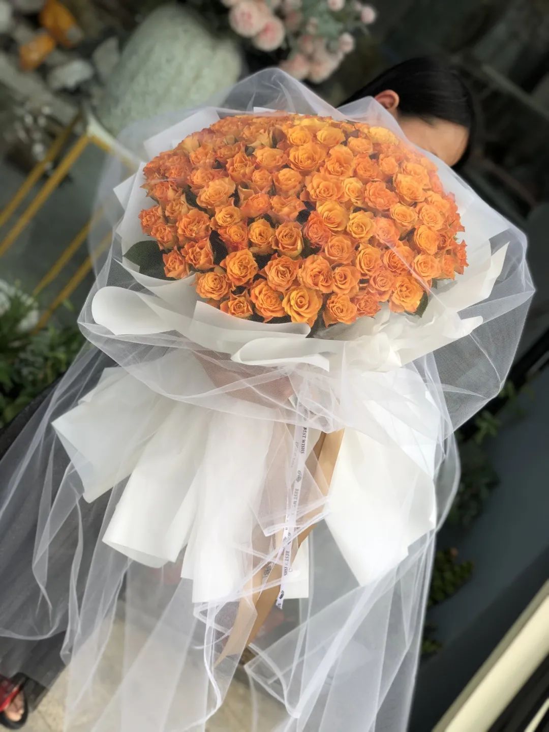 经典咏流传芦花,玫瑰花经典咏流传