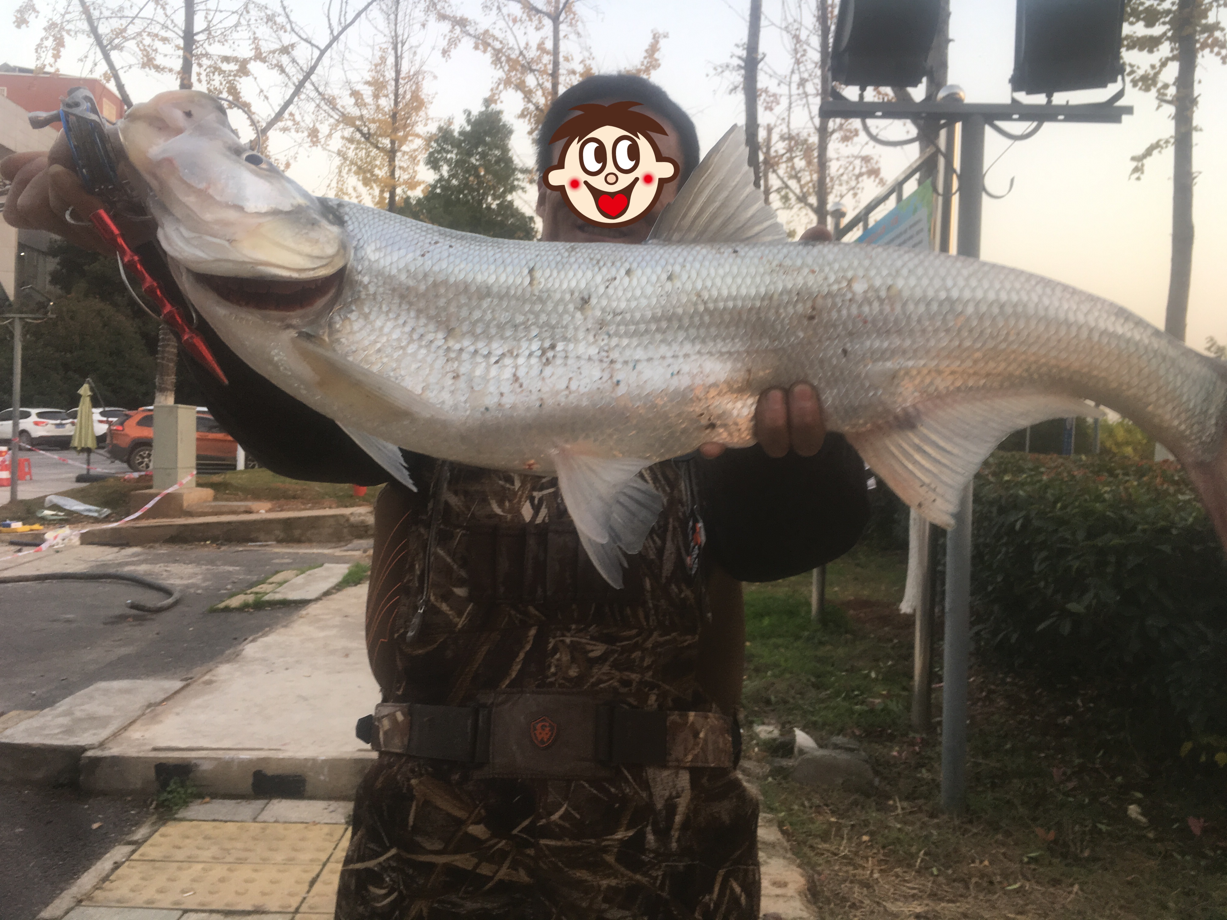 手把手教你钓翘嘴,手把手教你学会钓翘嘴