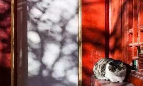 玩转京城北京,游北京游记