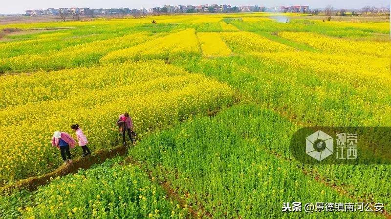深度剖析江西老表！这位副省级领导的雄文，曾刷屏10w+！如今再推巨著……