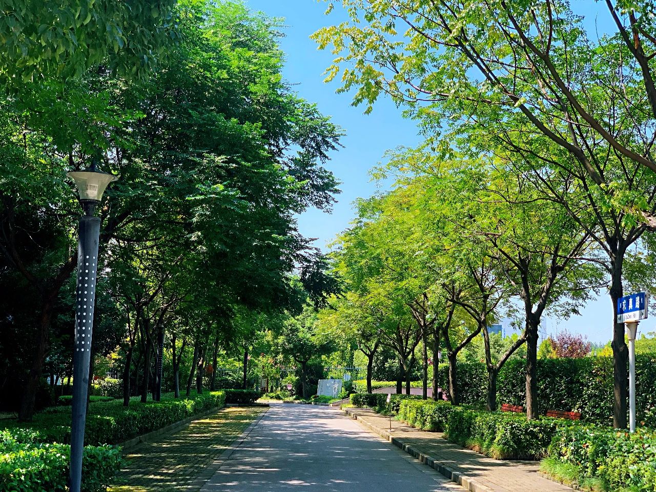 金中新校区,金中岱山教育集团