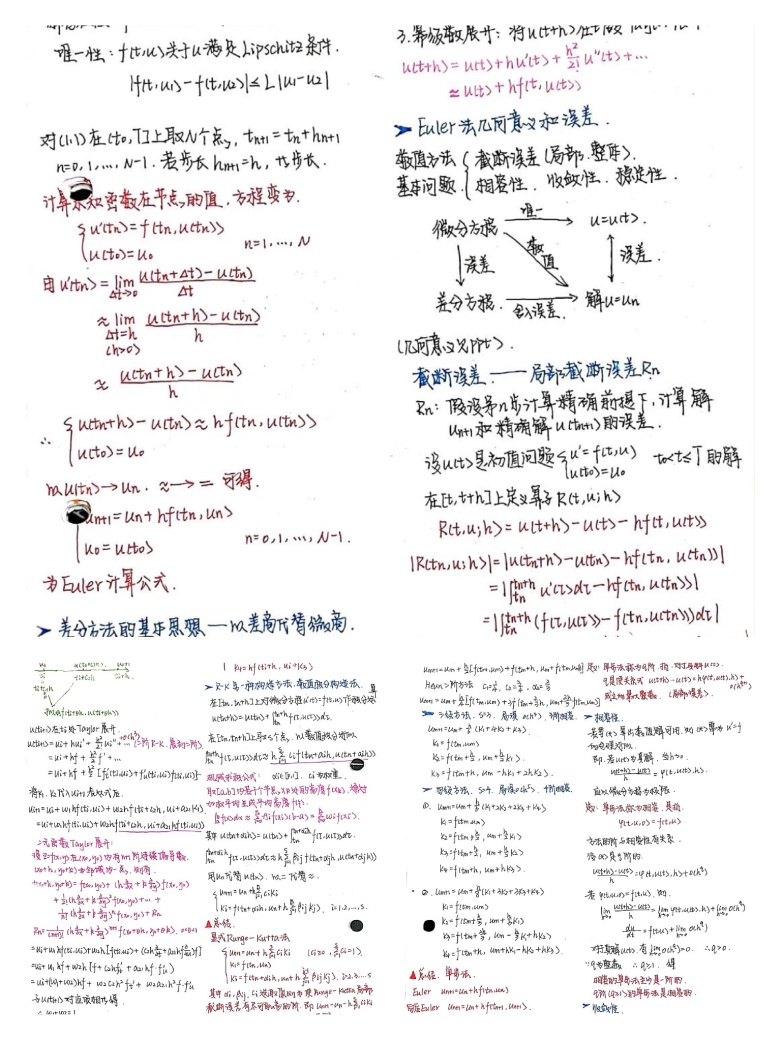 学霸笔记精美堪比印刷,学霸手绘生物笔记走红