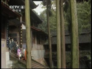 哪些电视剧在都江堰有取景,都江堰取景拍摄电视剧