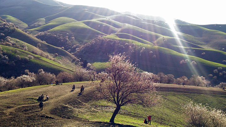 台湾妹子游*疆新**,二）：一个人的寻梦之旅，真实而美好