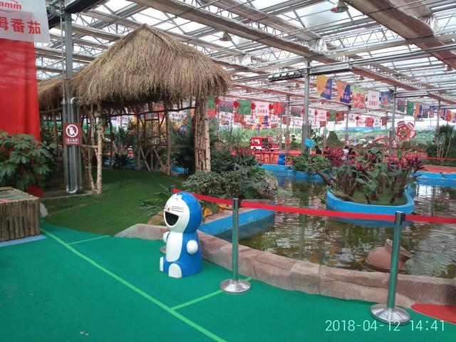 温室大棚有哪些优点,蔬菜大棚和温室大棚有什么不一样