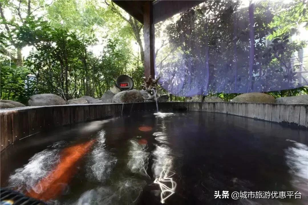 「江浙沪泡汤指南」来了!2020泡泡更灵