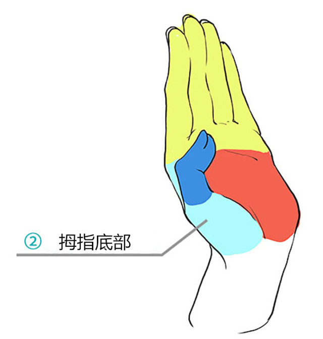 怎么画漫画人物教程简单又好看,漫画手的各种姿势画法