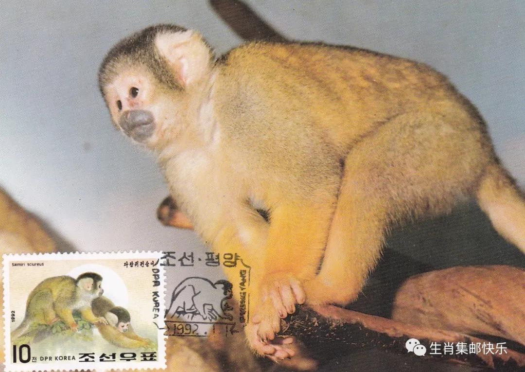 中国传统文化中生肖的寓意,中国传统文化之生肖文化图片2018