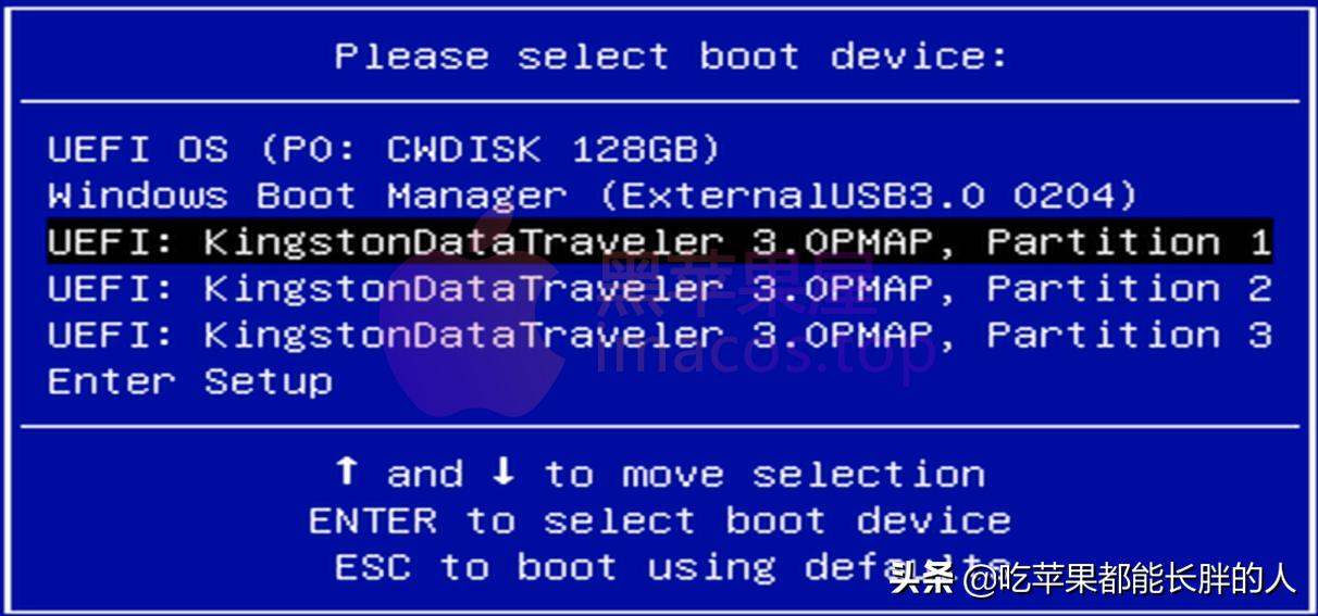 零基础2021最新macOSBigSur黑苹果安装完整教程opencore引导