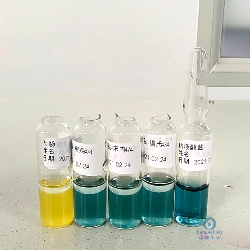 食品中志贺氏菌的检测,志贺氏菌检测标准值是不得检出吗