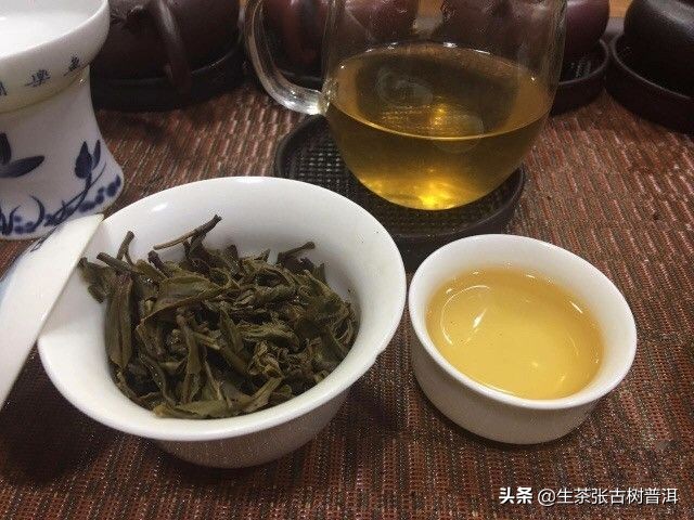 苦涩度最高的普洱茶能存放吗,普洱鲜茶应该存放多久才能饮用呢
