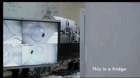 鎶惃鎶楃檶,锜戣瀭灞呯劧涔熻兘鎶楃檶