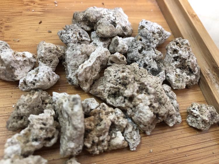 渔民捕鱼捡到龙涎香,捕鱼龙涎香