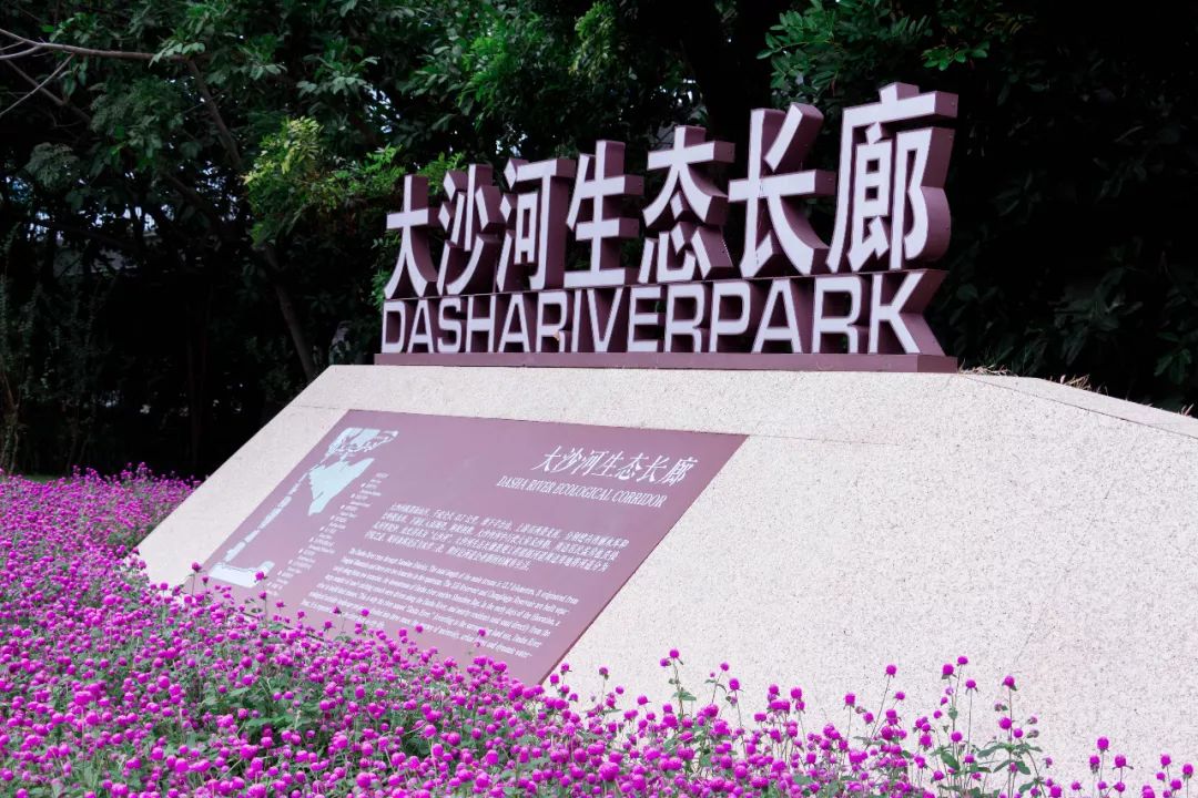 深圳好玩景点地铁路线,深圳好玩免费景点地铁直达的