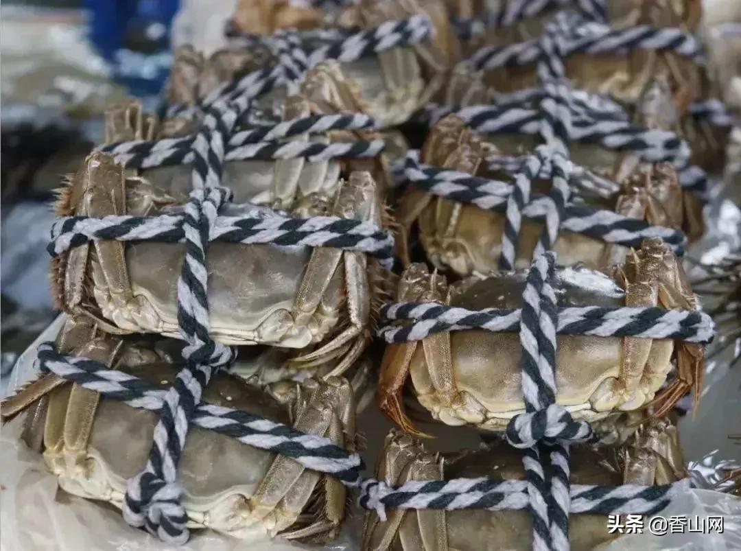 珠海有哪些海鲜街,珠海南屏海鲜街