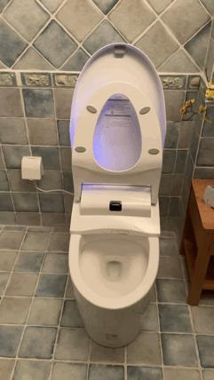 保卫菊花，从马桶做起——水鹿大鲸一体自动马桶使用感受