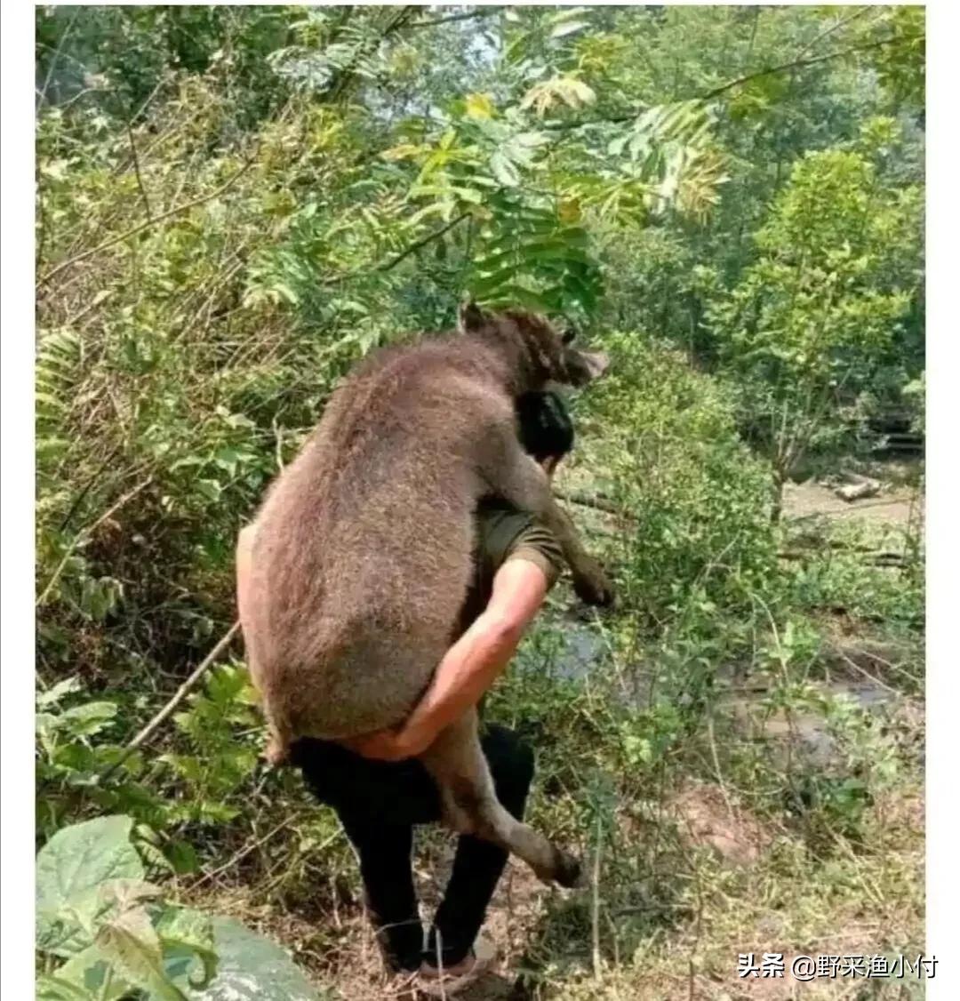 钓鱼空军的几大原因你知道吗,钓鱼如何避免空军