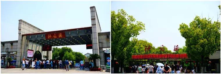 扬帆再起航完整版,扬帆再起航视频完整