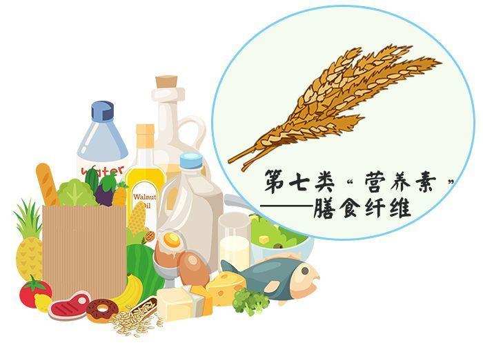 肠道都喜欢怎样的食物?想要胃肠健康,这么吃就对了