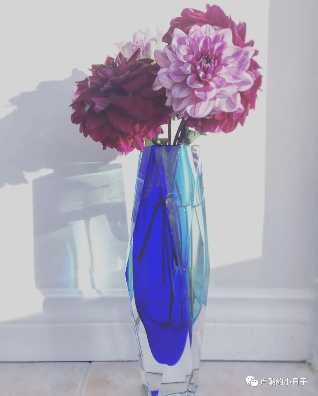 去了威尼斯最想做什么,去了才知道不值一看的欧洲景点