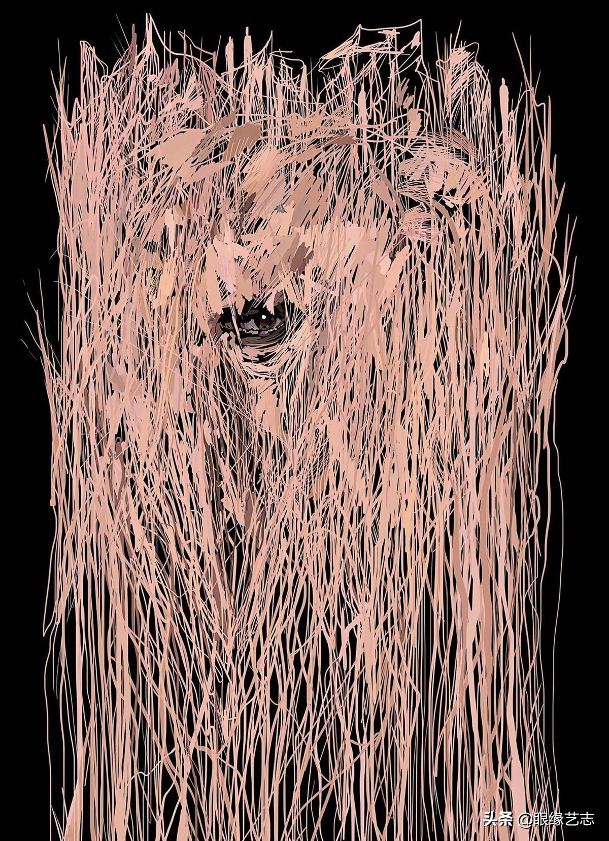 二维宇宙的浓情挣扎：另类的音乐封面插画，穿行暗夜的吟游诗人